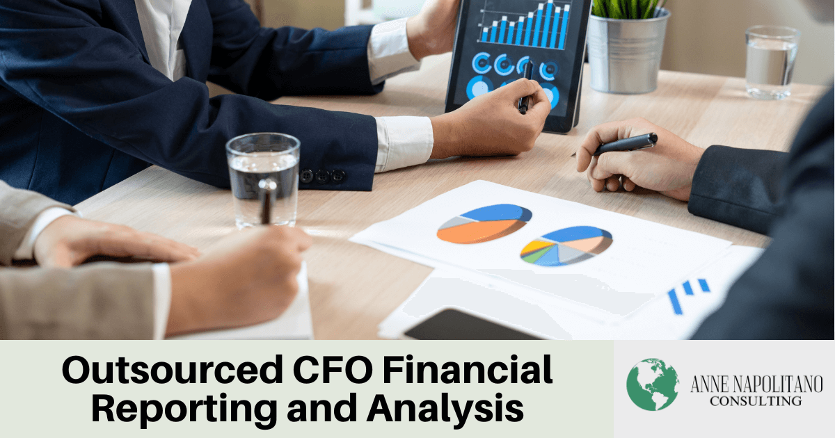 outsourced CFO financial reporting and analysis