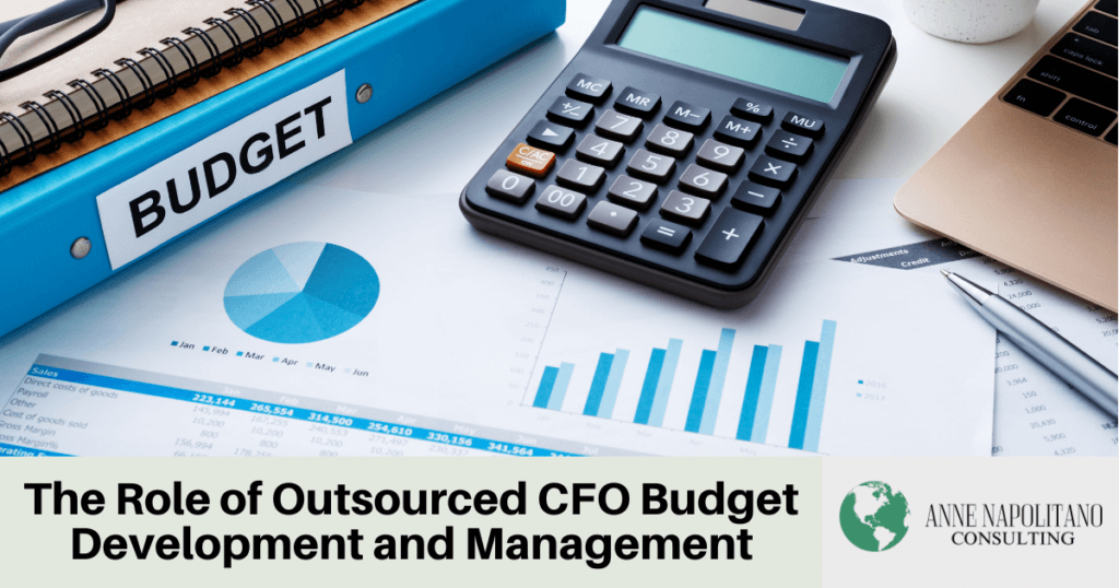 Outsourced CFO Budget Development and Management